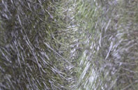 Waringstown fibreglass roof work